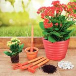 Kit de herramientas metálicas para macetas 4 pieza mangos de madera Tramontina - Imagen 3