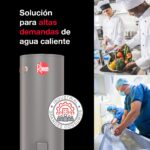 TERMO ELECTRICO DE PISO RHEEM 500 LITROS 380V, RESISTENCIA 9 KW - Imagen 3