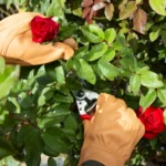 GUANTE DE CUERO NATURAL DE VACA RESITENTE A PINCHAZOS TALLA XL FELCO - Imagen 2