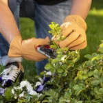 GUANTE DE CUERO NATURAL DE VACA RESITENTE A PINCHAZOS TALLA XL FELCO - Imagen 6