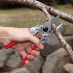 TIJERA PROFESIONAL PARA PODA TIPO YUNKE DE 20 CMS ARS - Imagen 6