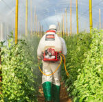 PULVERIZADOR 26CC CON 2 LANZAS TOYAMA - Imagen 10