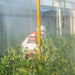 PULVERIZADOR 26CC CON 2 LANZAS TOYAMA - Imagen 8