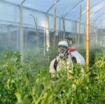 PULVERIZADOR 26CC CON 2 LANZAS TOYAMA - Imagen 9